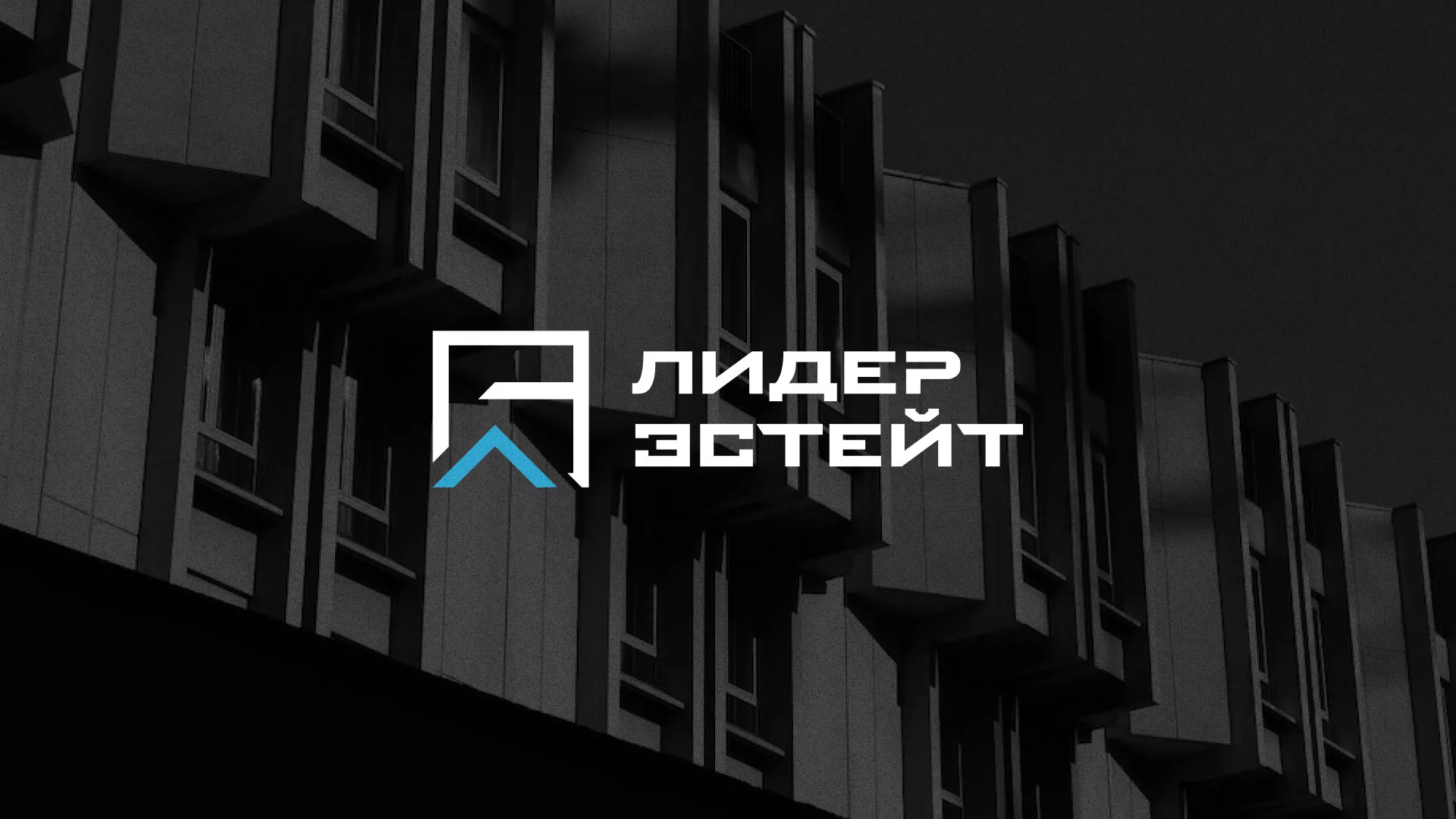 Разработка логотипа агентства недвижимости «Лидер Эстейт» в Красном Холме